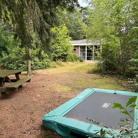 Relaxen In Het Bos Met Privesauna Holten Extérieur photo
