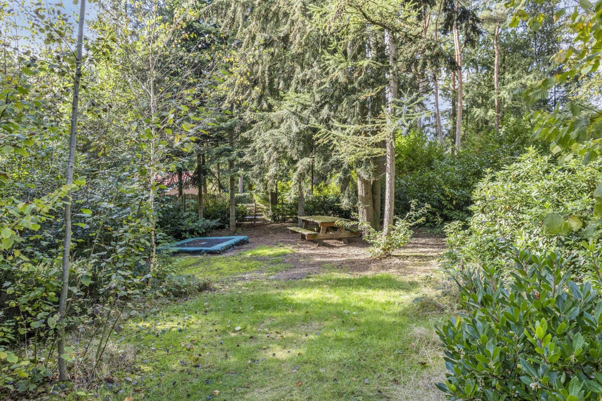 Relaxen In Het Bos Met Privesauna Holten Extérieur photo