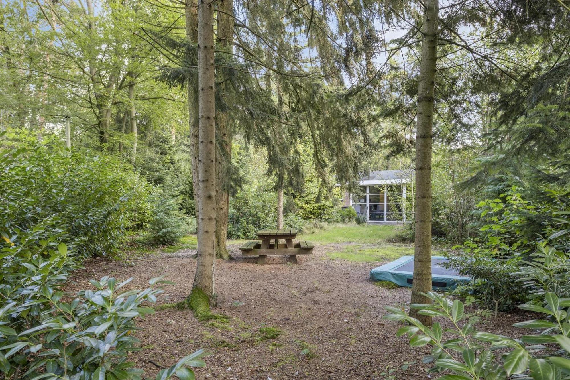 Relaxen In Het Bos Met Privesauna Holten Extérieur photo
